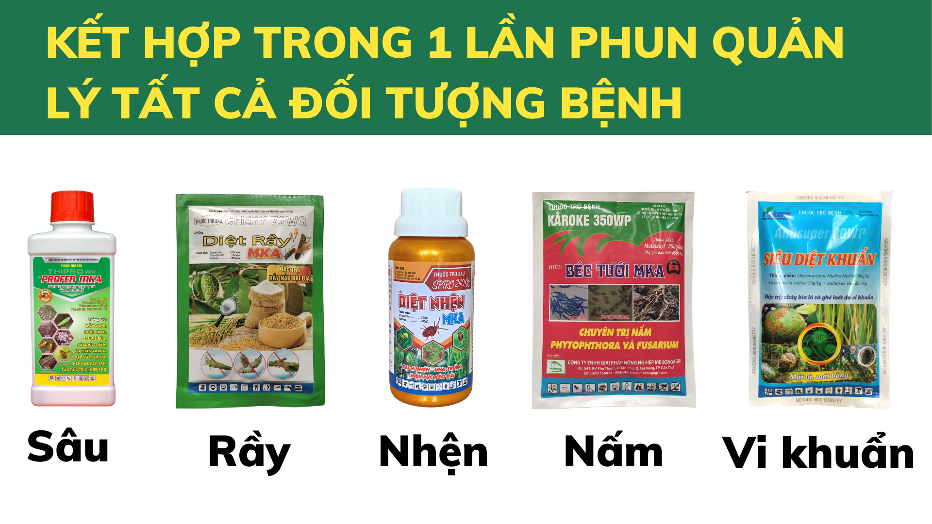 nguyên tắc phối thuốc